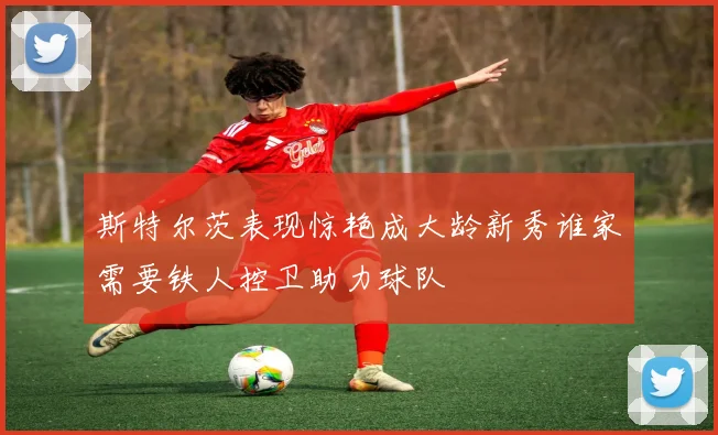 斯特尔茨表现惊艳成大龄新秀谁家需要铁人控卫助力球队